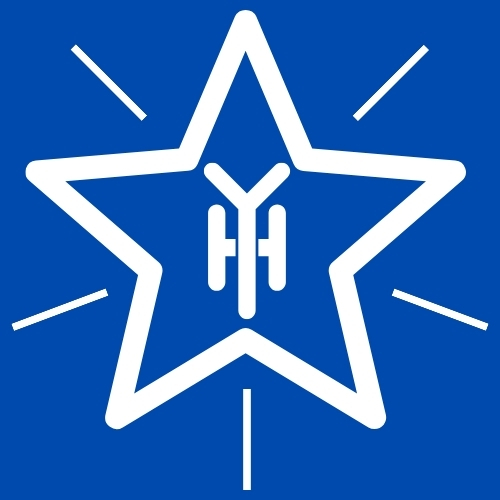YILDIZ HARİTA MÜHENDİSLİK